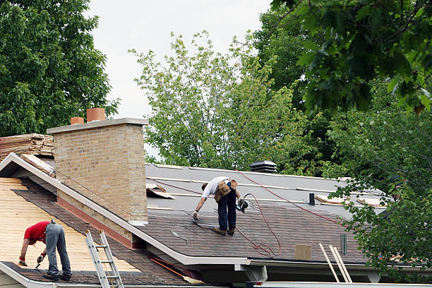 Best Gutter Replacement  in Gleason, TN